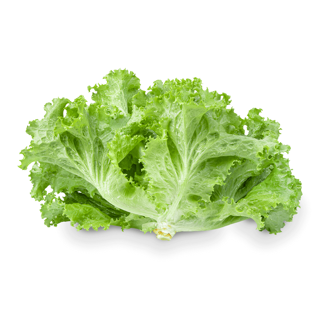 Crudités salade iceberg
