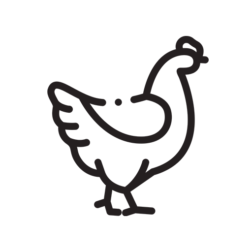 Döner poulet